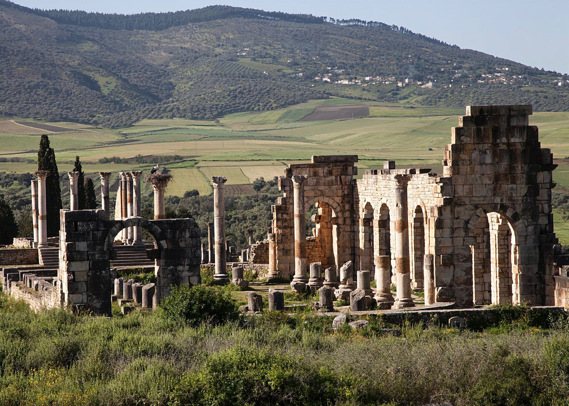 Volubilis