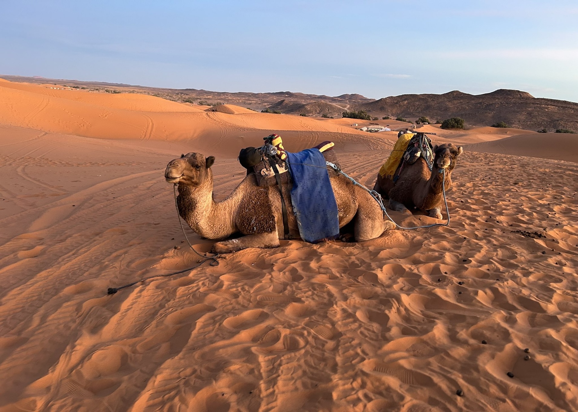 Erg Chebbi Desert