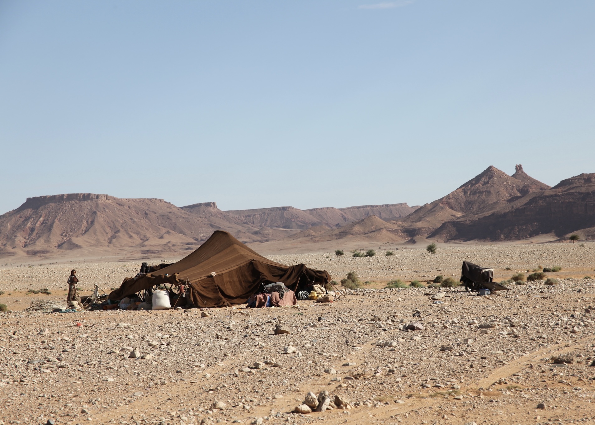 Berber Nomad