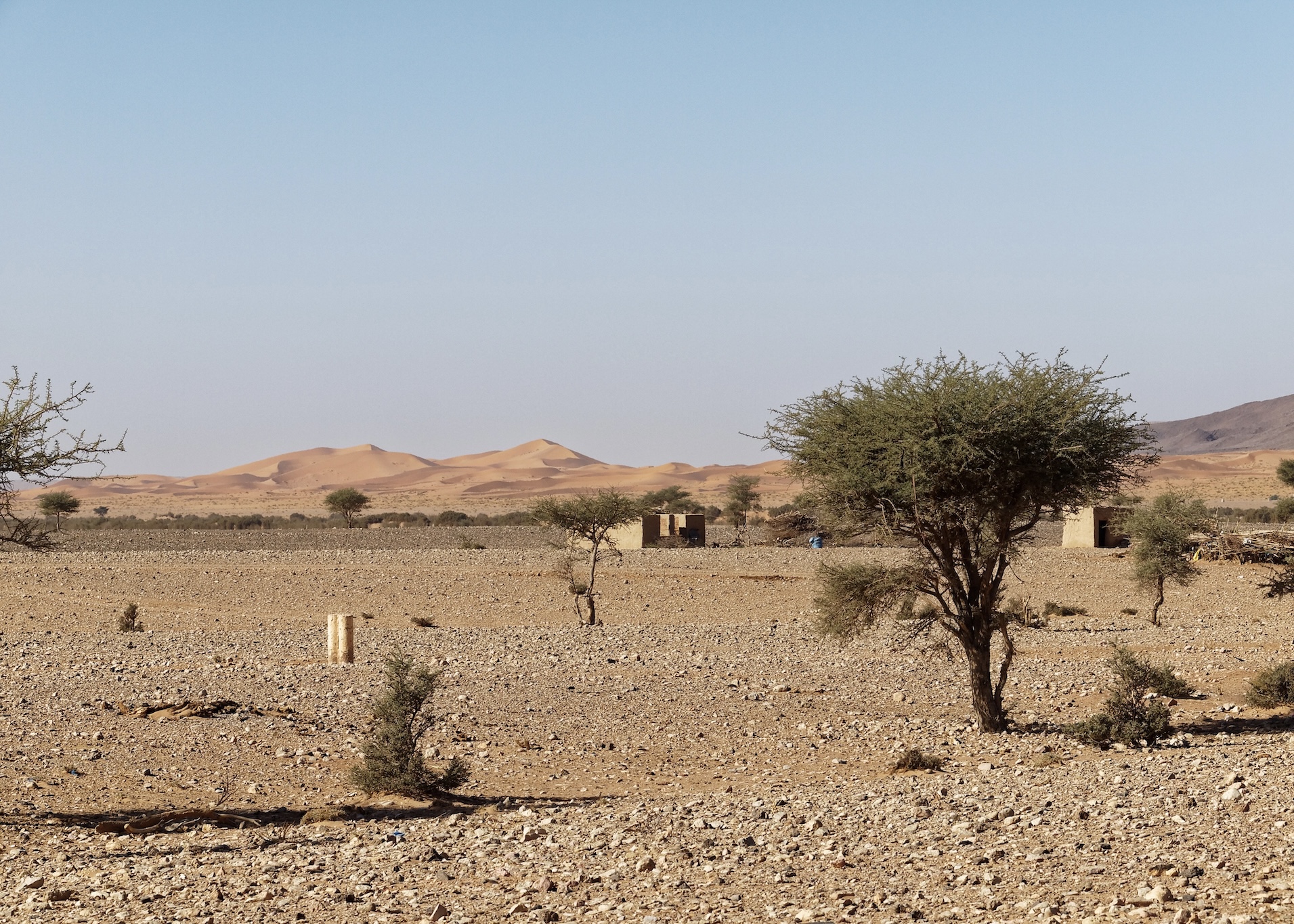 Merzouga Desert