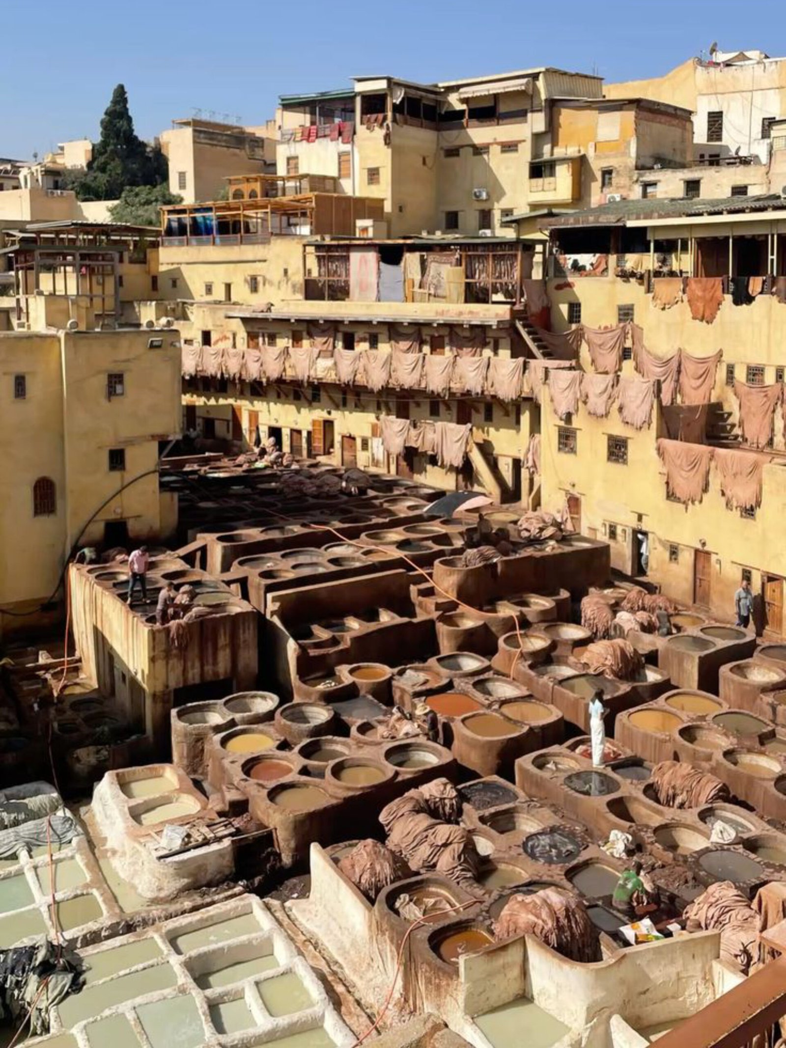 fez