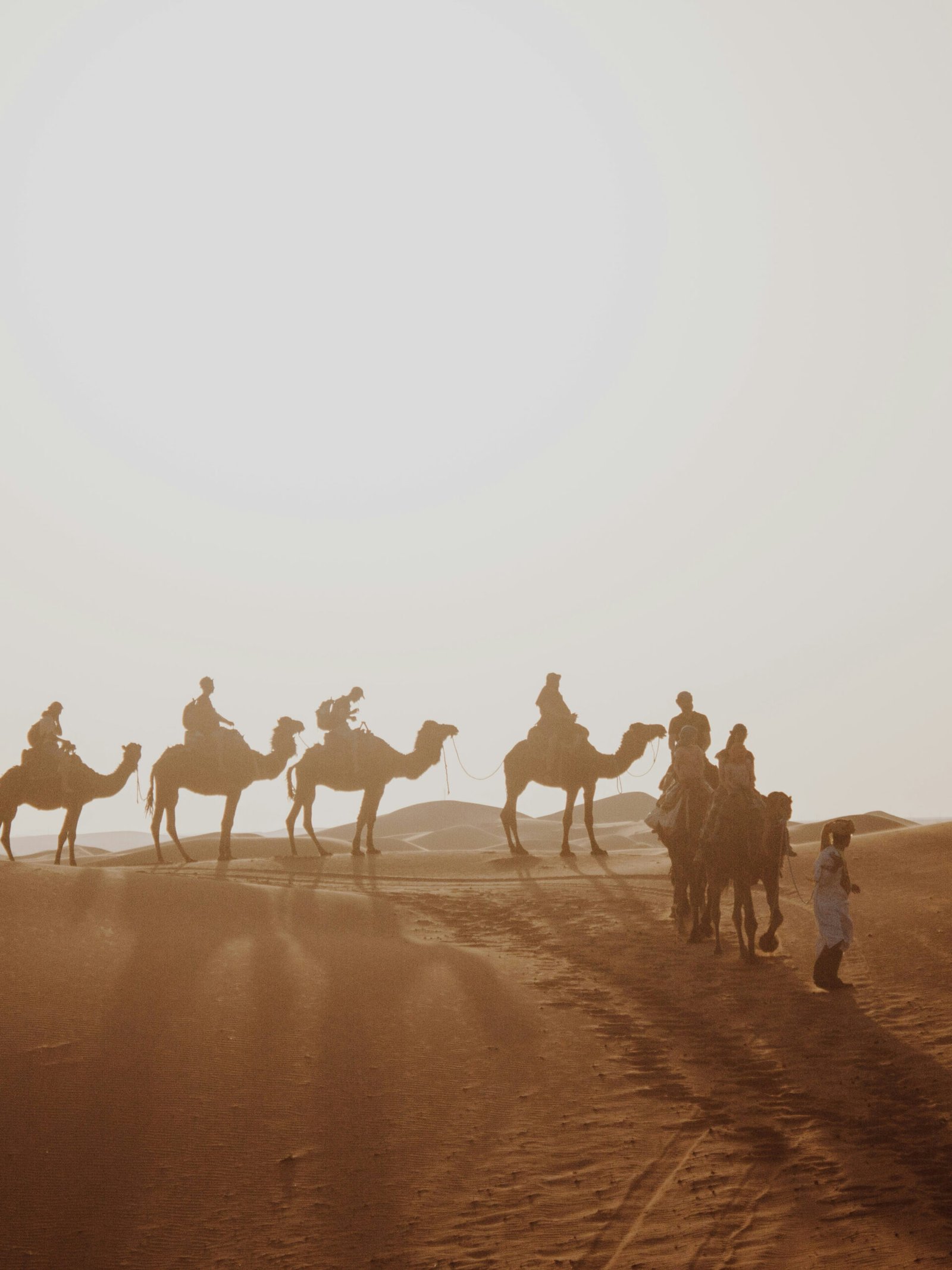 Best Time to Visit Morocco