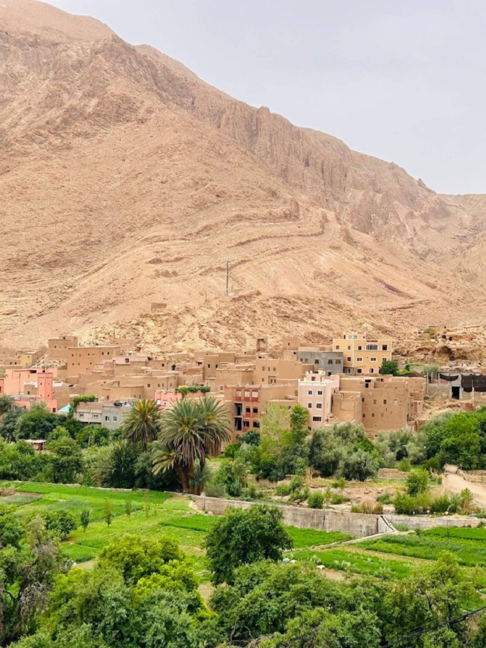 Why Morocco? Discover What Makes It Unique